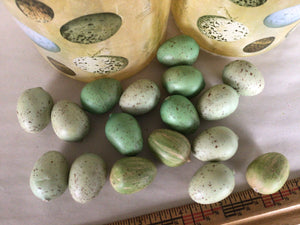 Bird Eggs - 1.25” Green/Blue Bag/17