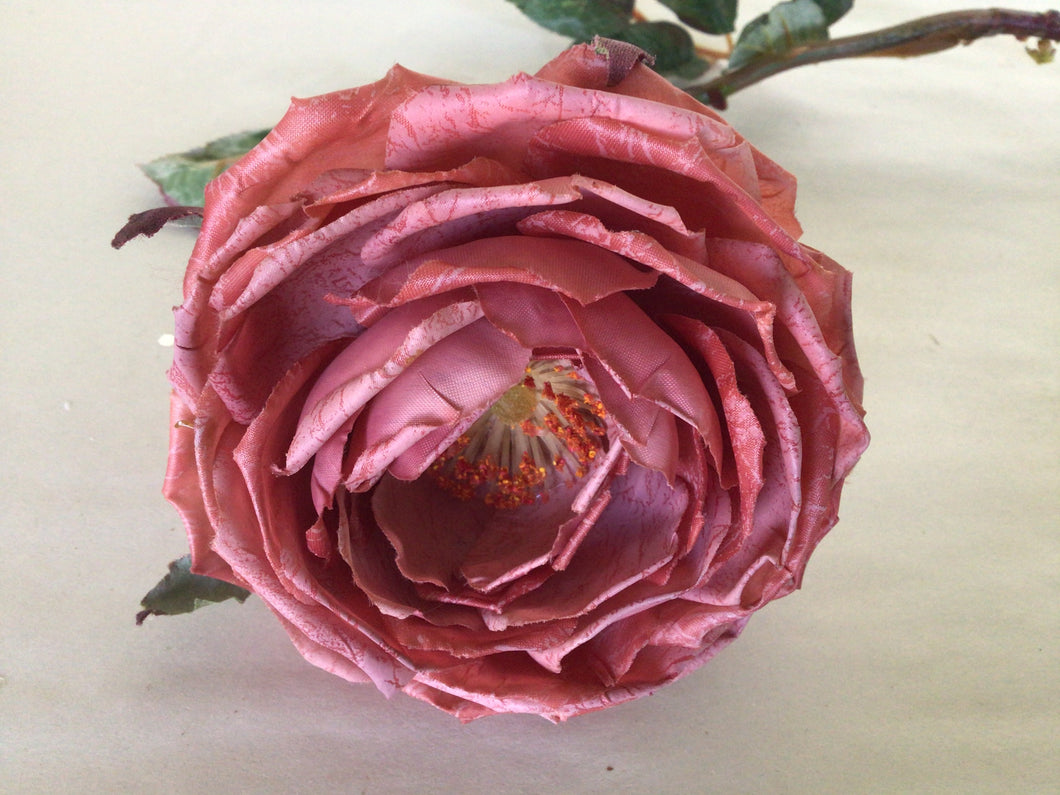 Cabbage Rose Stem - 3.5”w x 27”h - Dusty Rose