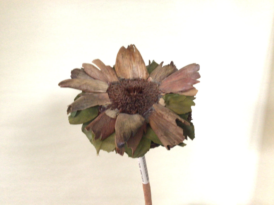 Sunflower, brown - 21”