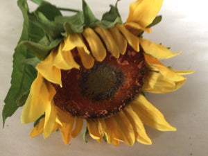 Sunflower, gold - 34"
