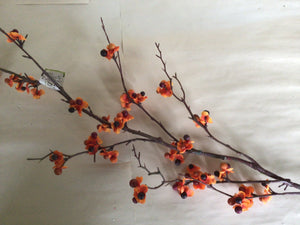 Bittersweet, red/orange - 42” stem