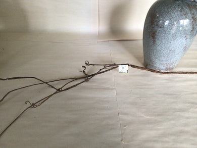Bare Viney Branch, brown - 54”